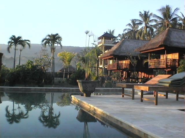 Singko Lovina Bed & Breakfast Exterior photo