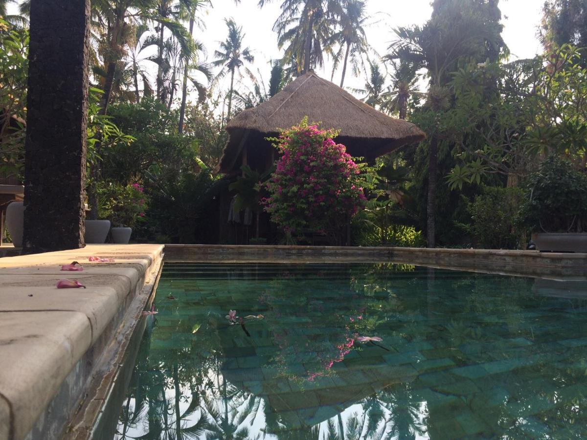 Singko Lovina Bed & Breakfast Exterior photo